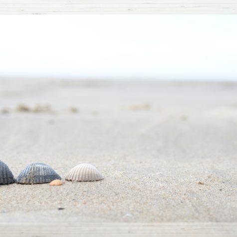 margot-villa-photo-nature-belgique-2
