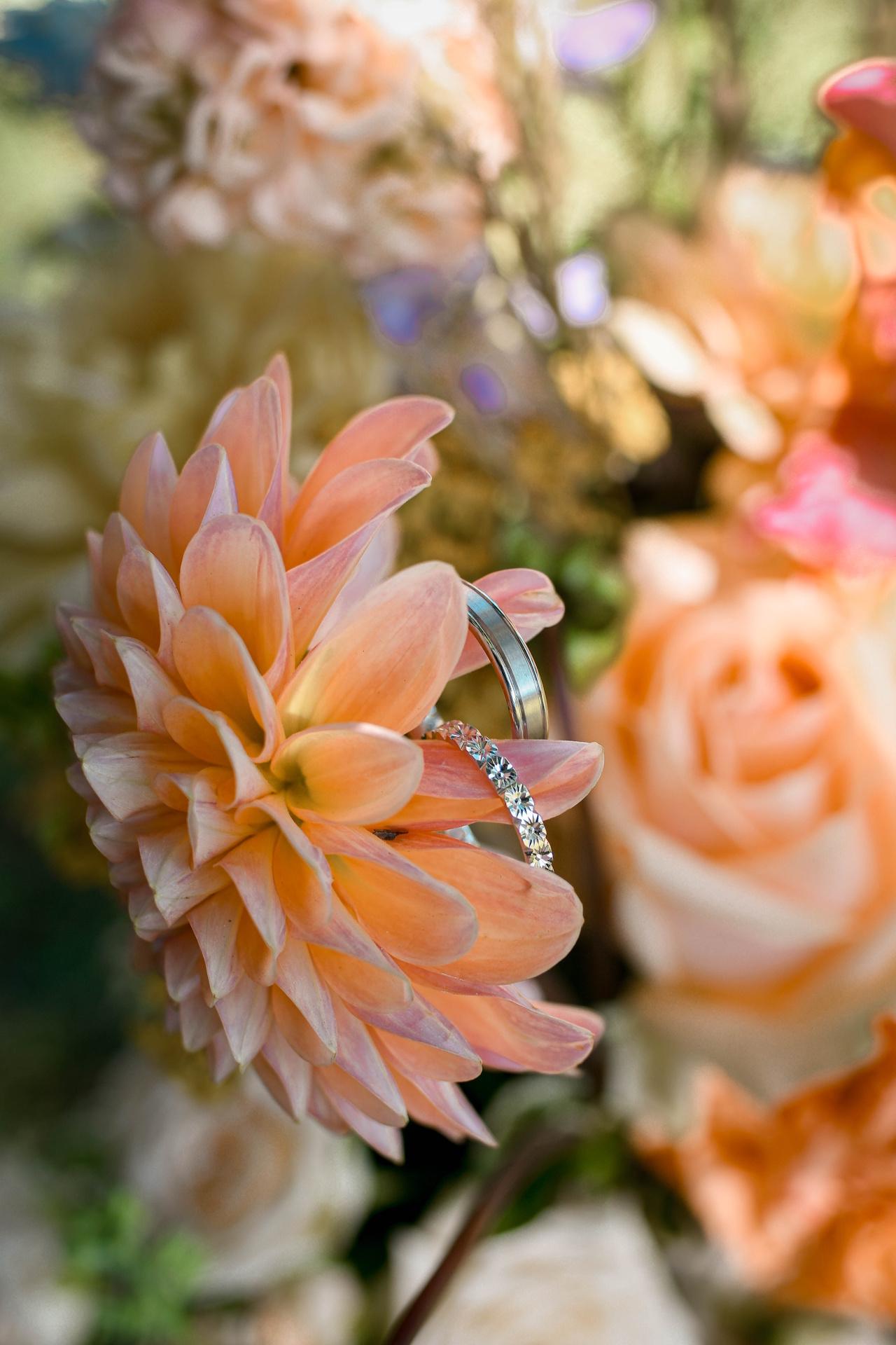 margot-villa-mariage-amour-nature-souvenir13